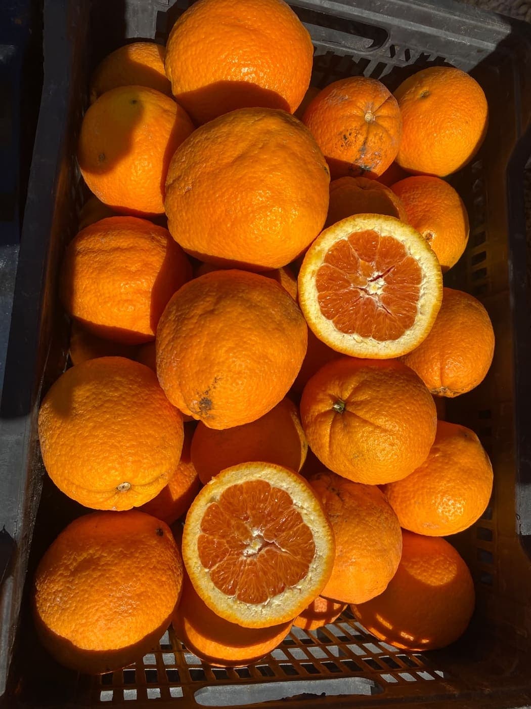 Naranjas frescas en una caja